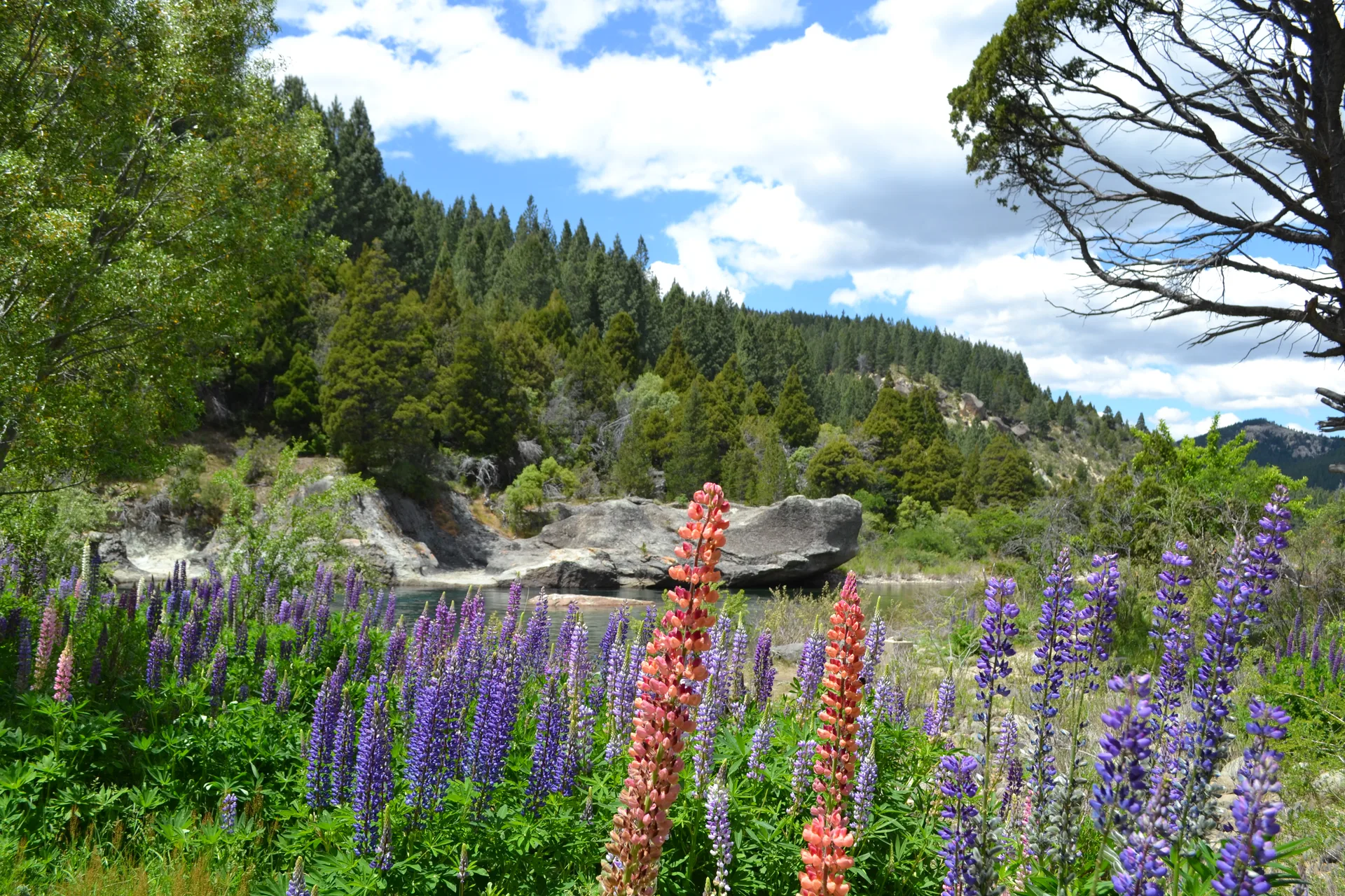 ¿Qué tener en cuenta para hacer trekking en primavera en la Patagonia?